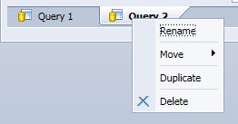 Screenshot of InfoView showing how to rename a query