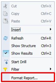 Screenshot of InfoView right-click menu showing location of format option