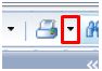 Screenshot of infoview showing the location of the triangle next to the print icon