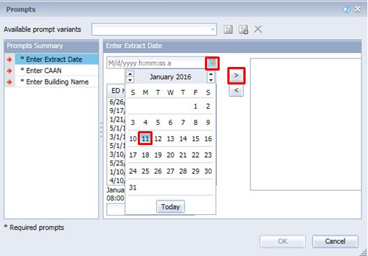 Screenshot of InfoView prompts pop-up panel date value entry