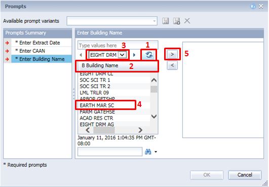 Screenshot of InfoView prompts pop-up panel select from list value entry